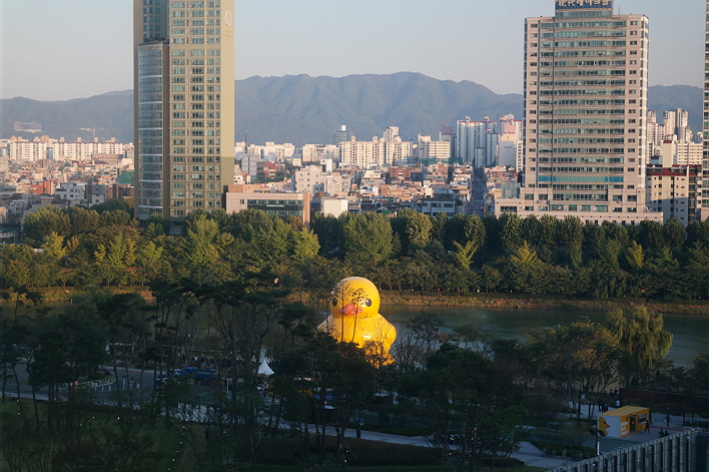Rubber Duck Project Seoul