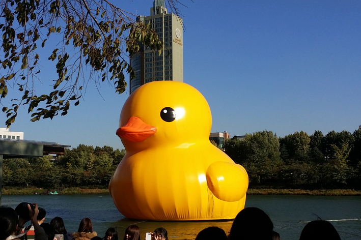 Rubber Duck Project Seoul