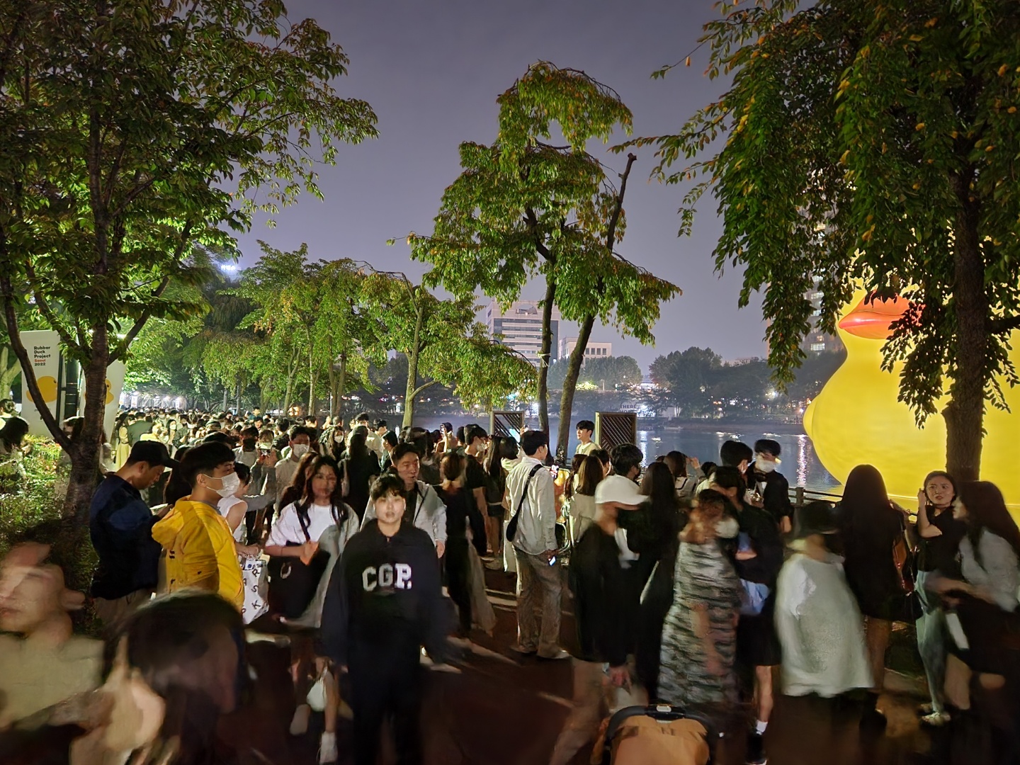 Rubber Duck Project Seoul 2022