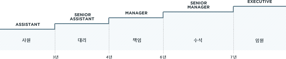 사원:A(2~3년),대리:SA(3년),책임:M2(3년),매니저:M1(3년),수석:S2(3년),팀장:S1(3년),상무:임원