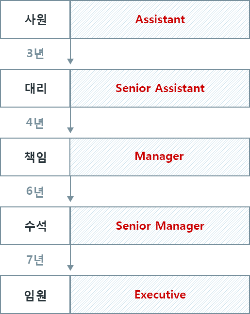 사원:A(2~3년),대리:SA(3년),책임:M2(3년),매니저:M1(3년),수석:S2(3년),팀장:S1(3년),상무:임원